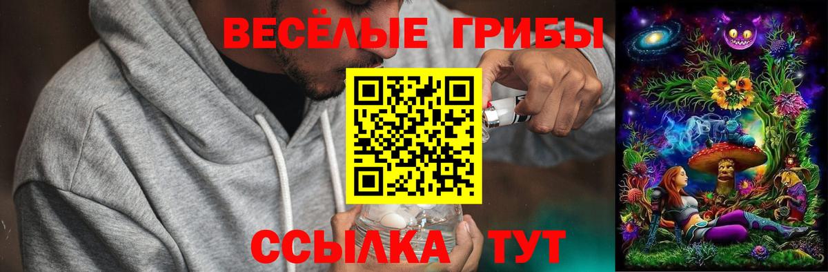 Псилоцибиновые грибы Psilocybine cubensis  Псилоцибиновые грибы MAGIC MUSHROOMS  Пыть-Ях  Вход с VPN 