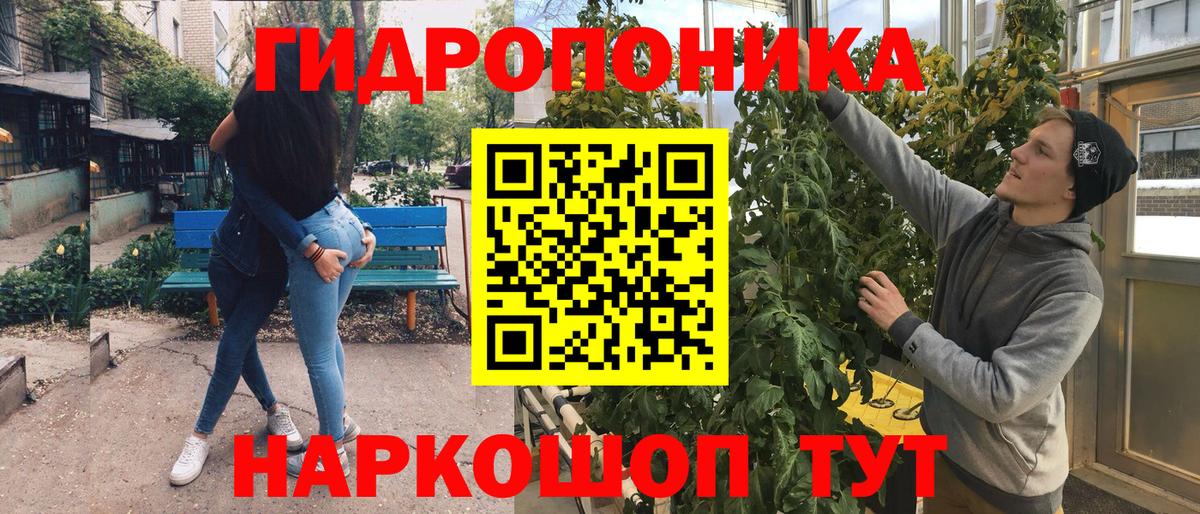 Конопля индика  Пыть-Ях  Конопля тримм  Конопля планчик  Бошки Шишки AK-47 